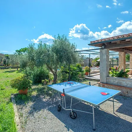 Owl Finquita - Rustic *