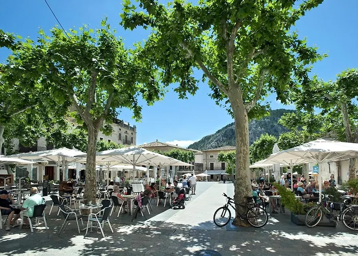 Owl Finquita - Rustic Port de Pollença