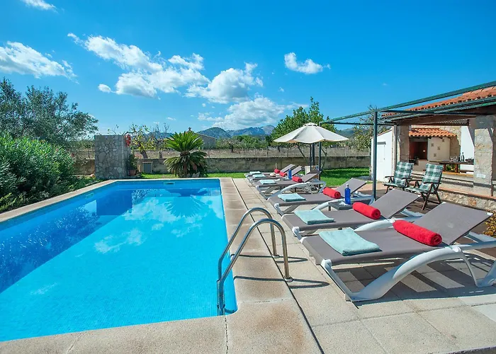 Owl Finquita - Rustic *