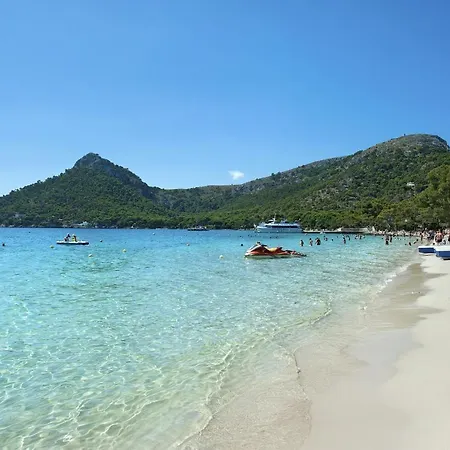 Owl Finquita - Rustic *