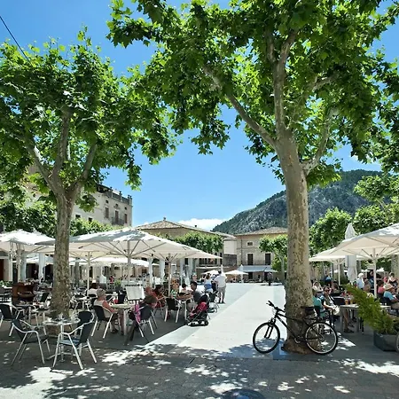 Owl Finquita - Rustic 波连萨港