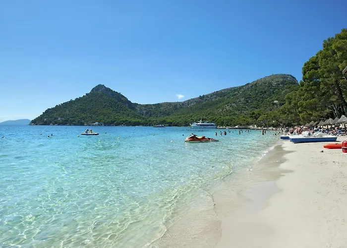 Owl Finquita - Rustic *