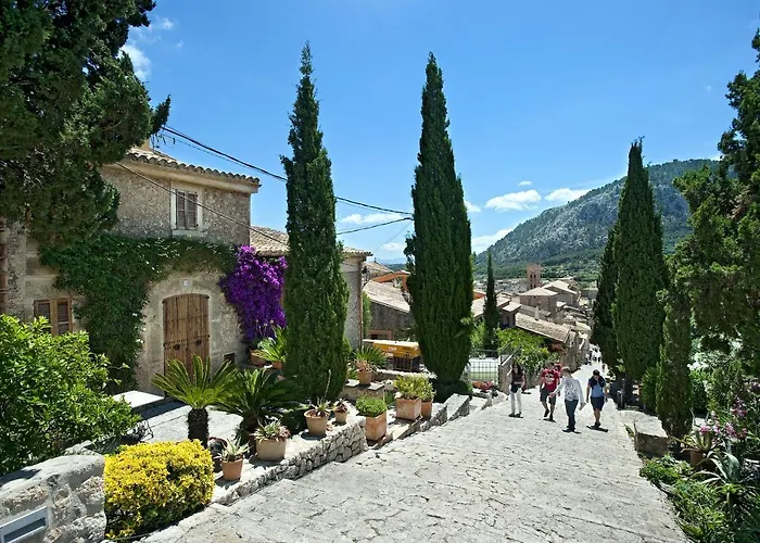 Owl Finquita - Rustic