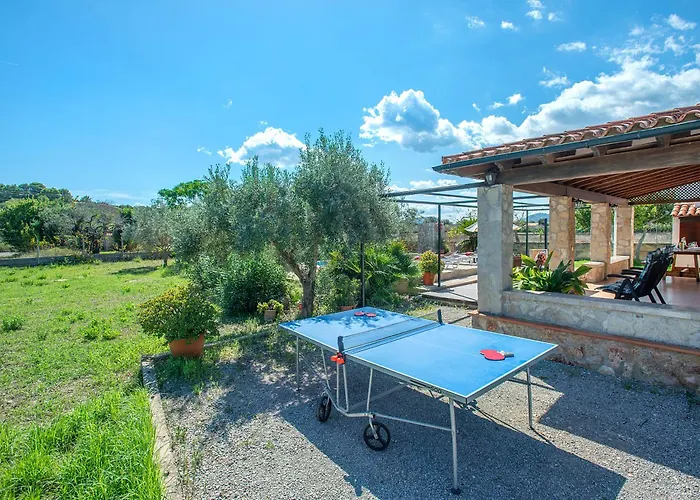 Owl Finquita - Rustic *