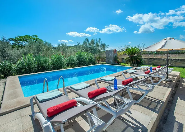 Owl Finquita - Rustic