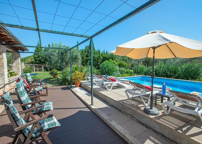 Owl Finquita - Rustic *