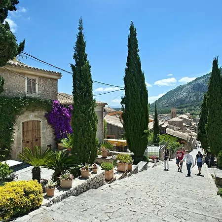 Owl Finquita - Rustic